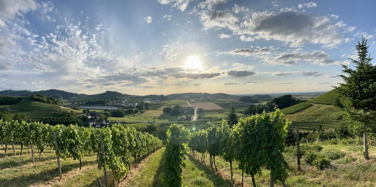 Ferienapartment Huber Oberkirch  Εξωτερικό φωτογραφία